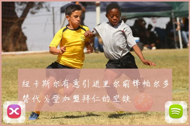 纽卡斯尔有意引进里尔前锋帕尔多替代戈登加盟拜仁的空缺